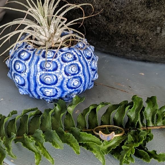 NWT🌙Madewell Crescent Ring - Picture 4 of 6